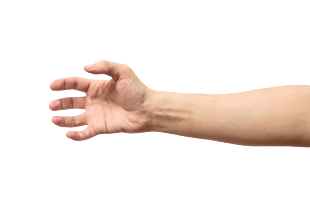 手 把握 右手 握住
