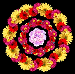 玫瑰花 菊花 花環