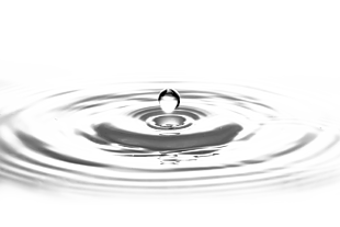 水動態(tài)