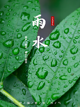 綠色雨水節氣海報設計