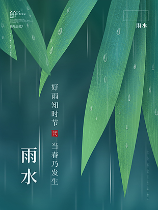 雨水節(jié)氣設(shè)計(jì)海報(bào)