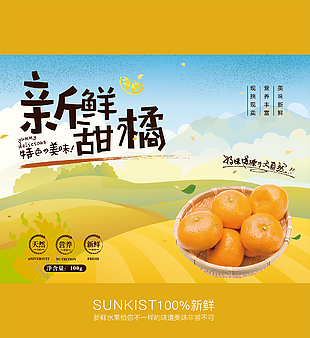 甜橘包装设计
