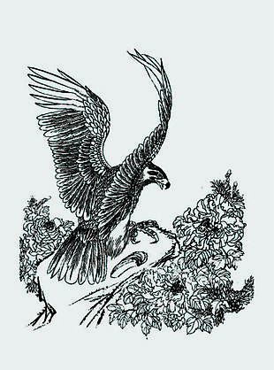 手绘老鹰