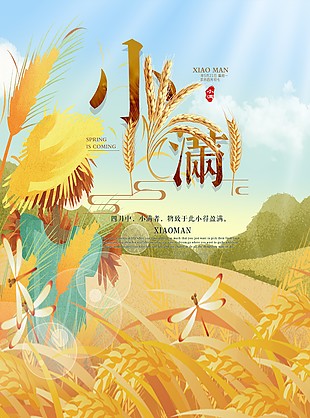 中國二十四節氣小滿海報