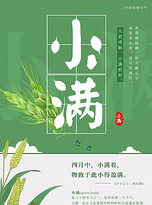 精美小满节日海报