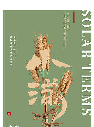 文艺小满节气海报
