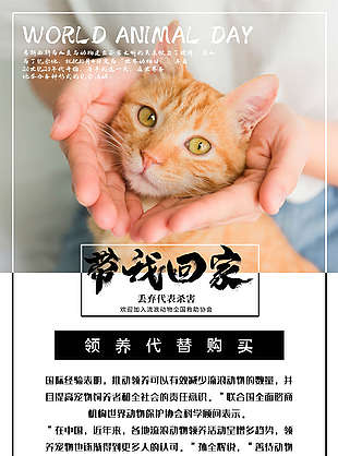保護動物領(lǐng)養(yǎng)海報