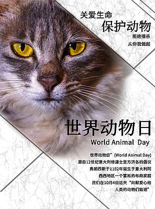 世界动物日保护动物