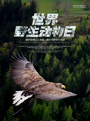 世界野生動物日圖片