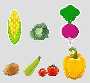 蔬菜矢量圖素材