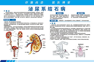 结石病科普海报