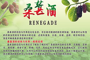 桑葚酒海報素材