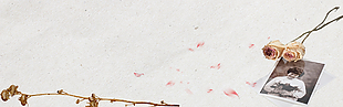 素凈淡雅裝飾畫背景