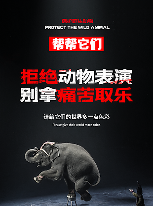 保护野生动物宣传海报图