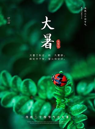 绿色夏日节气大暑海报