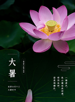傳統節日朋友圈推廣海報