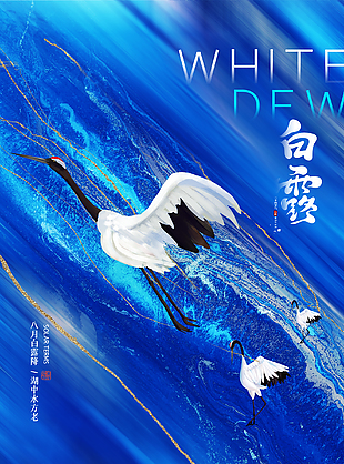 白露高端节气海报