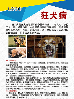狂犬病公益宣傳單設計