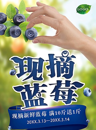 现摘新鲜蓝莓活动易拉宝素材模板