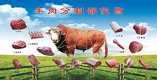 牛肉分割部位圖海報素材下載