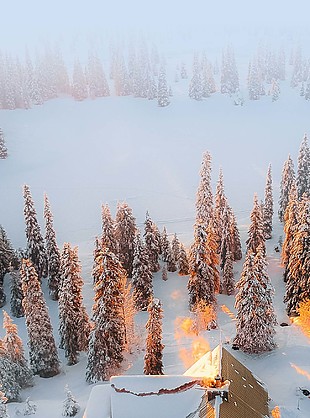 唯美超清小雪节气摄影背景图片下载