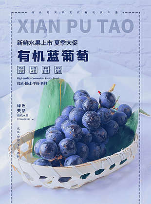 有機(jī)新鮮藍(lán)葡萄海報(bào)
