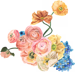 水彩花卉花朵植物圖片素材下載