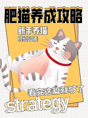 創意卡通風新手養貓文案封面設計