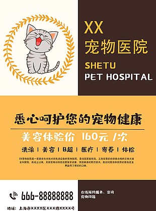 寵物醫(yī)院美容體驗宣傳海報模板設(shè)計