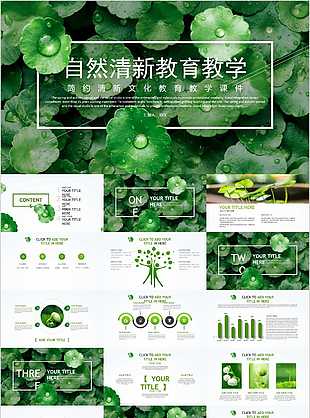 自然簡約清新文化教育教學(xué)課件PPT模板