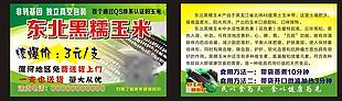東北黑糯玉米卡片設計