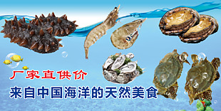 海產品促銷海報設計