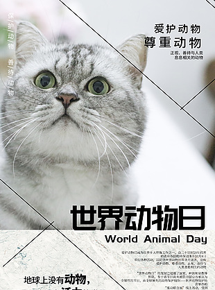 世界動物日保護野生動物