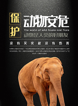 世界動物日海報展板模板