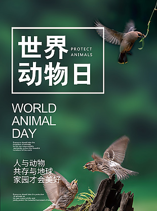 保護區(qū)野生動物宣傳海報
