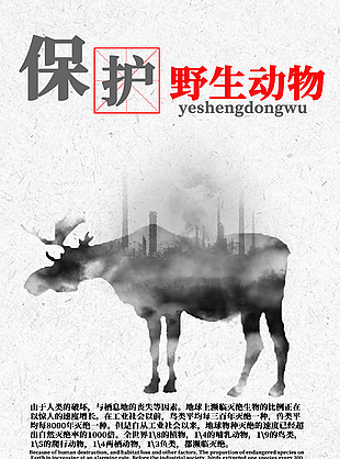 世界動物日保護野生動物