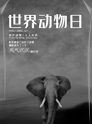 保護區(qū)野生動物宣傳
