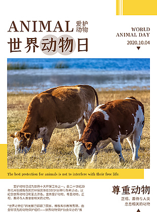 世界動物日海報展板模板