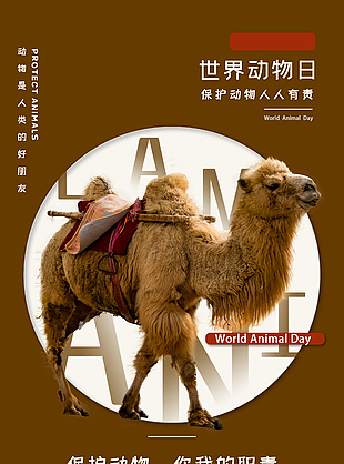 世界動物日保護野生動物