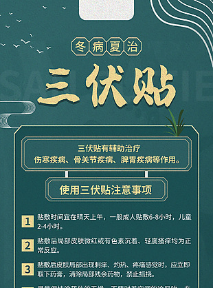 冬病夏治三伏貼養(yǎng)生宣傳海報設(shè)計