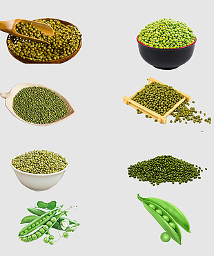 綠豆裝飾素材設計