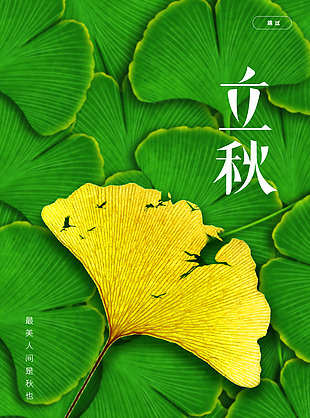 绿色立秋节气银杏叶简约海报图片大全