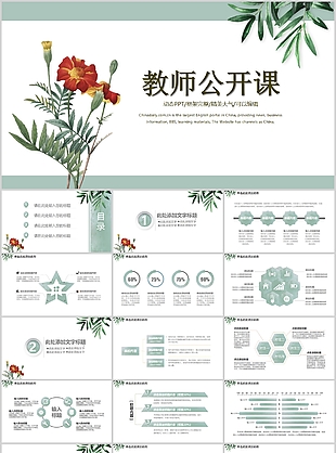精美大氣唯美教師公開課教學(xué)課件PPT模板