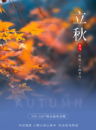 传统立秋节气枫叶摄影图地产借势海报下载