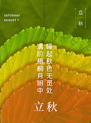 立秋传统节气简约手机海报图片大全
