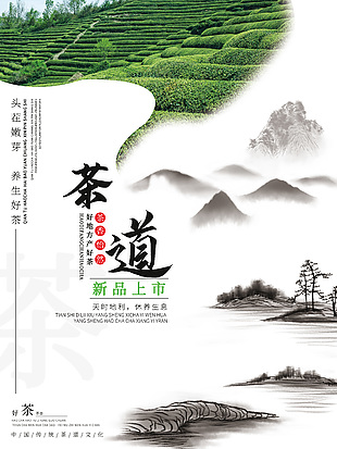 养生好茶新品上市海报