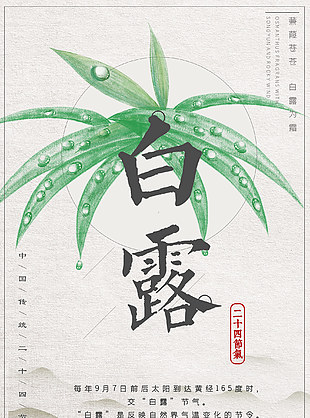白露简约质感创意海报下载