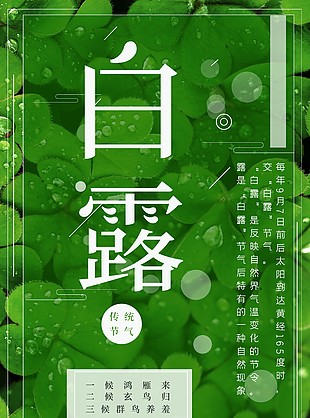 清新绿色白露创意海报素材