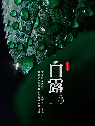 白露節氣露珠元素創意背景海報