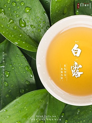 春茶白露宣传推广海报设计